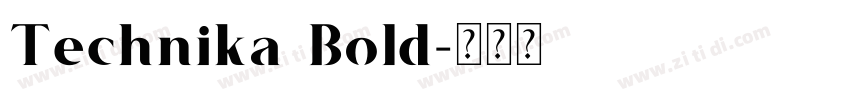 Technika Bold字体转换